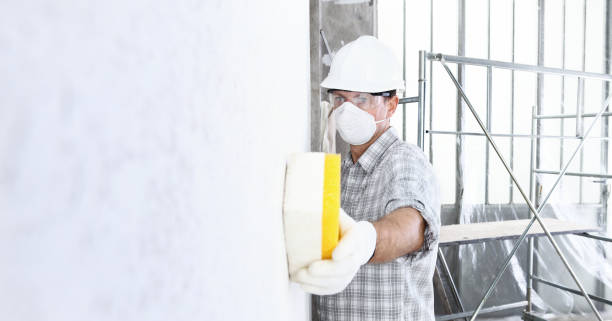 Mold Documentation for Insurance Claims in Christmas, FL